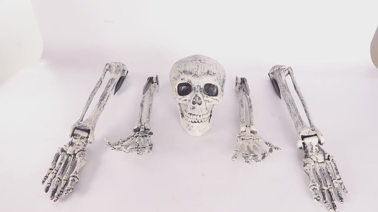 Skeleton Seal Cufflinks